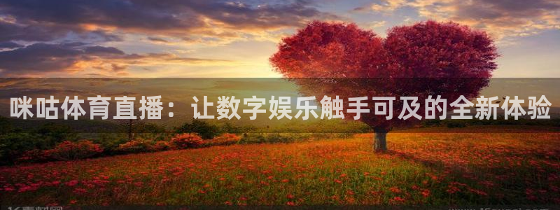 足球直播小九直播：咪咕体育直播：让数字娱乐触手可及的全新体验