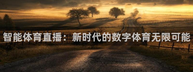 小九直播nba在线观看：智能体育直播：新时代的数字体育无限可能